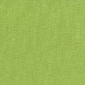 Rumba Lime by Kasmir Fabric