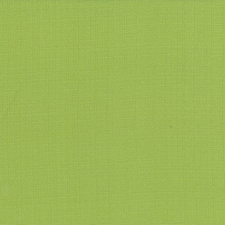 Rumba Lime  by Kasmir Fabric See sample 80% Polyester
20% Cotton
 CHINA 42,000 Wyzenbeek Double Rubs </p><p>Repeat: Horizontal: N/A and Vertical: N/A 56  - Fabric Carolina -