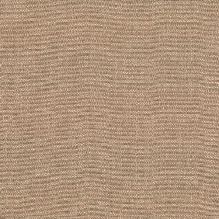 Rumba Mocha by Kasmir Fabric 5044 80% Polyester
20% Cotton
 CHINA </p><p>Repeat: Horizontal: N/A and Vertical: N/A 56 - 58 - Fabric Carolina -