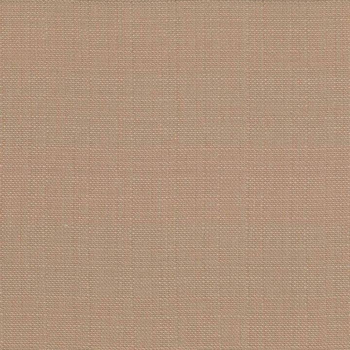 Rumba Mocha by Kasmir Fabric 5044 CHINA 42,000 Wyzenbeek Double Rubs H: N/A, V:N/A 56 - 58 - Fabric Carolina - Kasmir