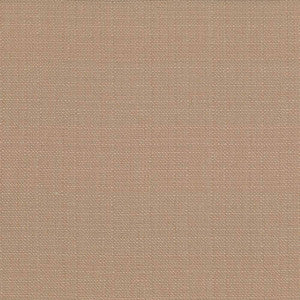 Rumba Mocha by Kasmir Fabric