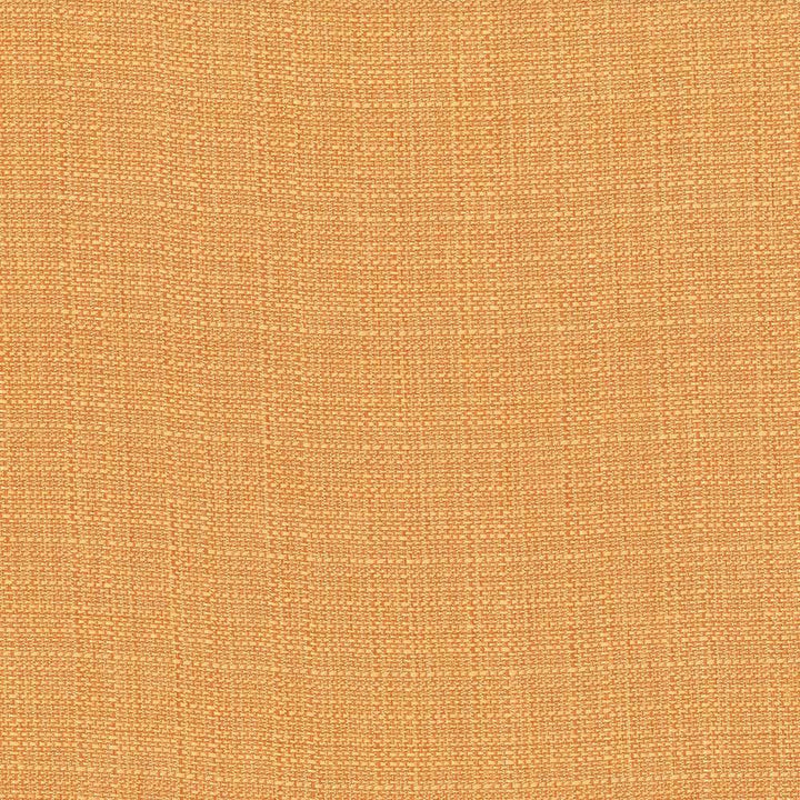 Rumba Orange by Kasmir Fabric 5044 80% Polyester
20% Cotton
 CHINA 42,000 Wyzenbeek Double Rubs Horizontal: N/A and Vertical: N/A 56 - Fabric Carolina -