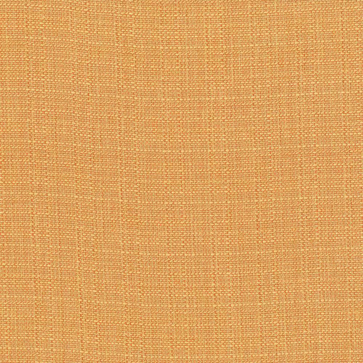 Rumba Orange by Kasmir Fabric 5044 CHINA 42,000 Wyzenbeek Double Rubs H: N/A, V:N/A 56 - 58 - Fabric Carolina - Kasmir