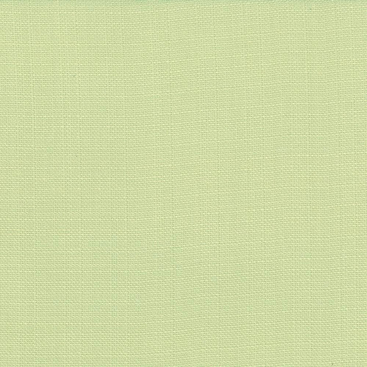 Rumba Pistachio by Kasmir Fabric 5044 80% Polyester
20% Cotton
 CHINA </p><p>Repeat: Horizontal: N/A and Vertical: N/A 56 - 58 - Fabric Carolina -
