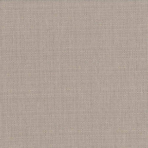 Rumba Taupe by Kasmir Fabric