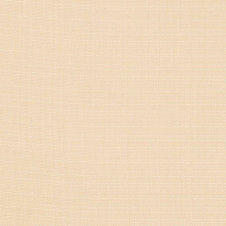 Rumba Vanilla by Kasmir Fabric 5044 CHINA 42,000 Wyzenbeek Double Rubs H: N/A, V:N/A 56 - 58 - Fabric Carolina - Kasmir