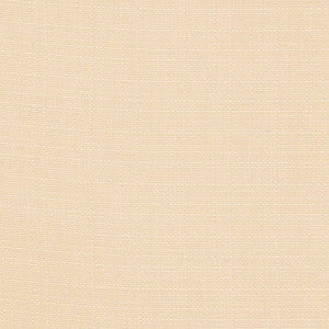 Rumba Vanilla by Kasmir Fabric