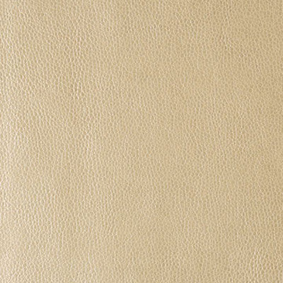 Rumors Gold Dust by Kravet Contract Fabric