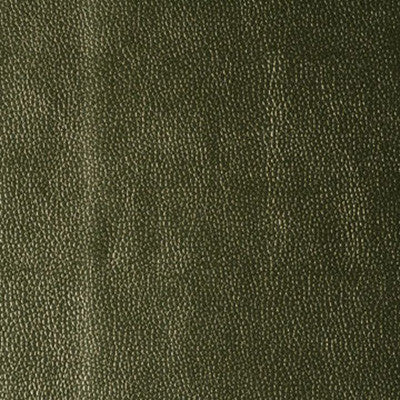 Rumors Limelight by Kravet Contract Fabric