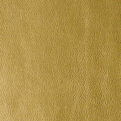 Rumors Rising Sun by Kravet Contract Fabric