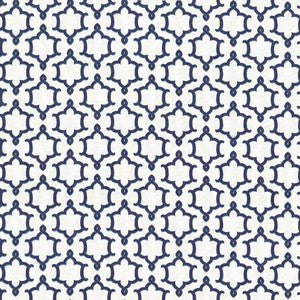 Ruzzini Lapis by Kasmir Fabric