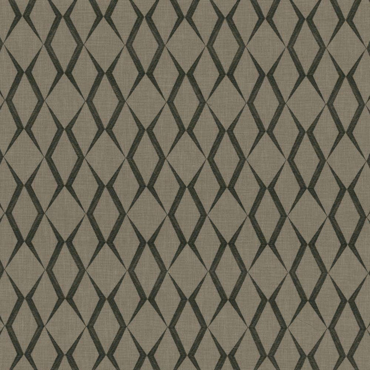 Ryland Trellis Thunder by Kasmir Fabric 1438 INDIA 30,000 Wyzenbeek Double Rubs H: 6 4/8 inches, V:9 inches 54 - 55 - Fabric Carolina - Kasmir