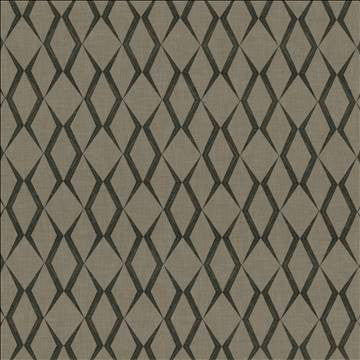 Ryland Trellis Thunder by Kasmir Fabric 1438 100% Polyester Embroidery Contents 100% Rayon INDIA 30,000 Wyzenbeek Double Rubs H: 6 4/8 inches, V: 9 inches 51 - 55 - Fabric Carolina - Kasmir