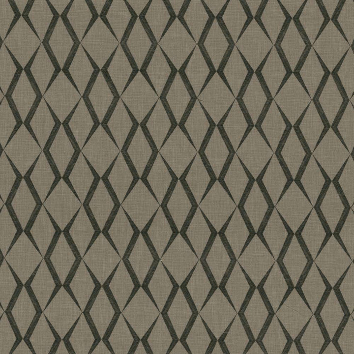 Ryland Trellis Thunder by Kasmir Fabric 1438 100% Polyester
Embroidery
100% Rayon
 INDIA </p><p>Repeat: Horizontal: 6 4/8 inches and Vertical: 9 inches 51 - 55 - Fabric Carolina -
