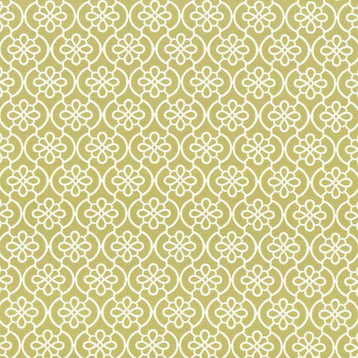 Rylie Sprout by Kasmir Fabric 5090 CHINA 6,500 Wyzenbeek Double Rubs H: 4 4/8 inches, V:6 inches 54 - Fabric Carolina - Kasmir
