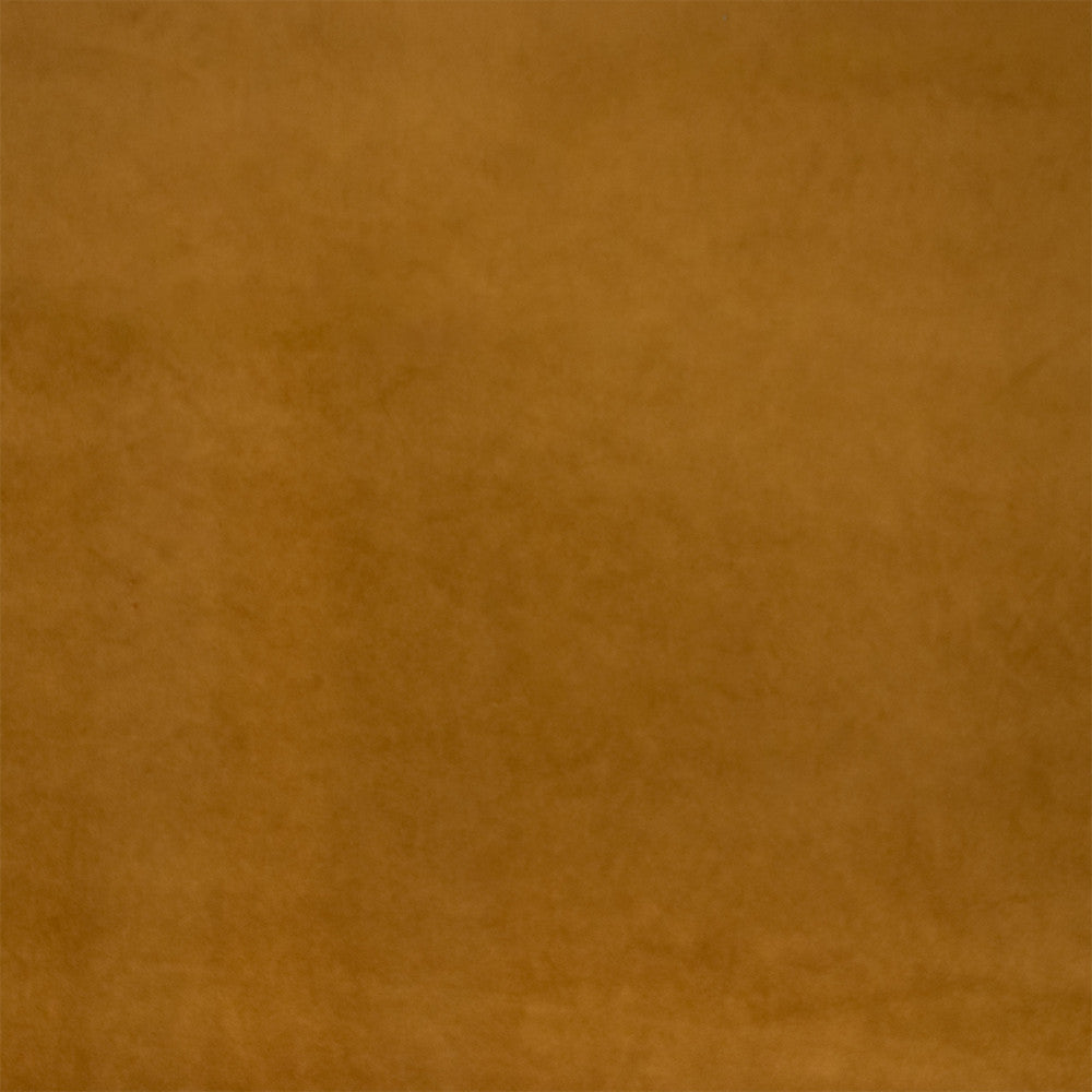 Greenhouse Fabric S7127 Amber - 75% Polyester, 25% Cotton China 201000 None 54" - My Fabric Connection -
