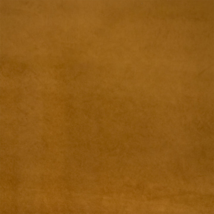 Greenhouse Fabric S7127 Amber - 75% Polyester, 25% Cotton China 201000 None 54" - My Fabric Connection -