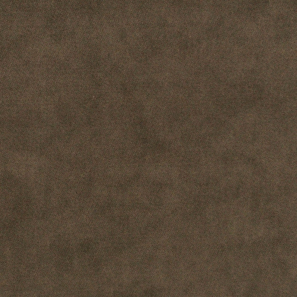 Greenhouse Fabric S7133 Sparrow - 75% Polyester, 25% Cotton China 201000 None 54" - My Fabric Connection -