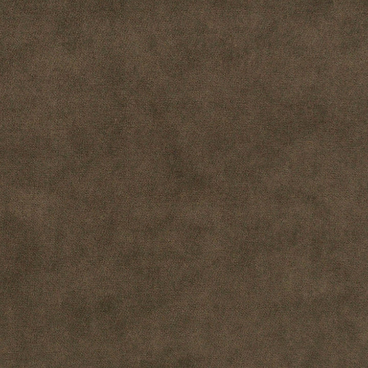 Greenhouse Fabric S7133 Sparrow - 75% Polyester, 25% Cotton China 201000 None 54" - My Fabric Connection -