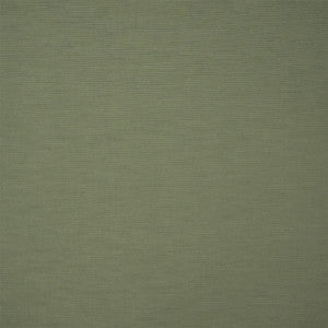 Greenhouse Fabric S7172 Fern