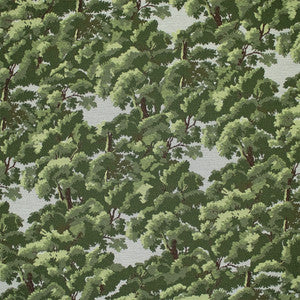 Greenhouse Fabric S7245 Pine