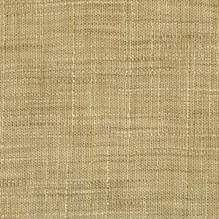 Sa148 Khaki by Kasmir Fabric 1316 100% Polyester INDIA Not Tested Horizontal: 0 Inches and Vertical: 0 Inches 54 - Fabric Carolina -