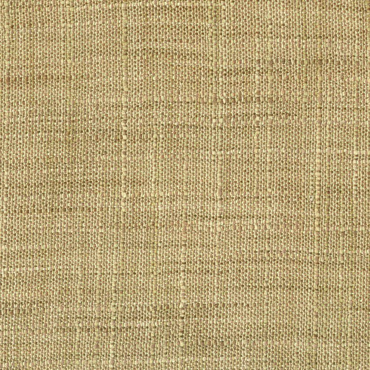 Sa148 Khaki by Kasmir Fabric 1316 INDIA Not Tested H: N/A, V:N/A 54 - Fabric Carolina - Kasmir