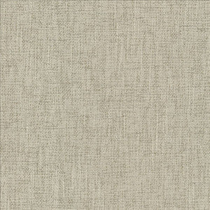 Safe Bet Linen  by Kasmir Fabric