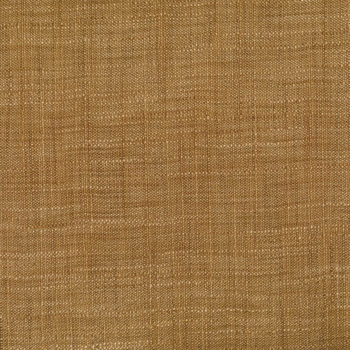 Sagittarius Caramel  by Kasmir Fabric 1242 100% Polyester  INDIA  </p><p>Repeat: Horizontal: N/A and Vertical: N/A 54  - Fabric Carolina -