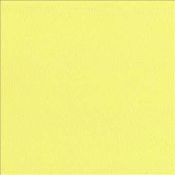 Saint Honore Citron by Kasmir Fabric 5056 65% Polyester 35% Cotton TAIWAN 100,000 Wyzenbeek Double Rubs H: N/A, V: N/A 54 - 56 - Fabric Carolina - Kasmir