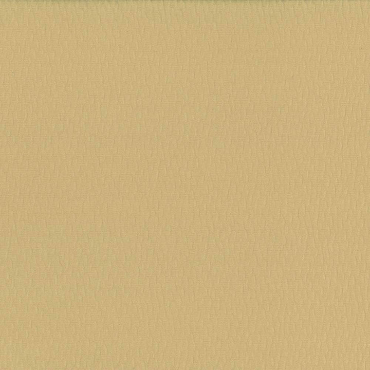 Saint Honore Cookie by Kasmir Fabric 5056 TAIWAN 100,000 Wyzenbeek Double Rubs H: N/A, V:N/A 54 - 56 - Fabric Carolina - Kasmir