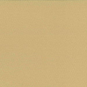 Saint Honore Cookie by Kasmir Fabric