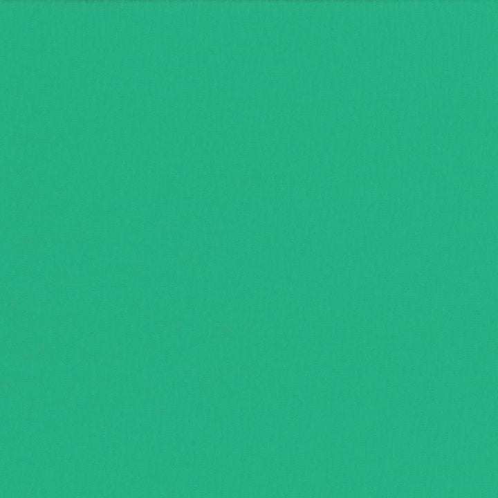 Saint Honore Emerald by Kasmir Fabric 5056 65% Polyester
35% Cotton
 TAIWAN 100,000 Wyzenbeek Double Rubs </p><p>Repeat: Horizontal: N/A and Vertical: N/A 54 - Fabric Carolina -