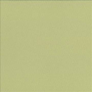 Saint Honore Lemon Grass by Kasmir Fabric 5056 65% Polyester 35% Cotton TAIWAN 100,000 Wyzenbeek Double Rubs H: N/A, V: N/A 54 - 56 - Fabric Carolina - Kasmir