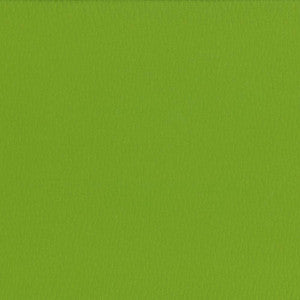 Saint Honore Orchard by Kasmir Fabric