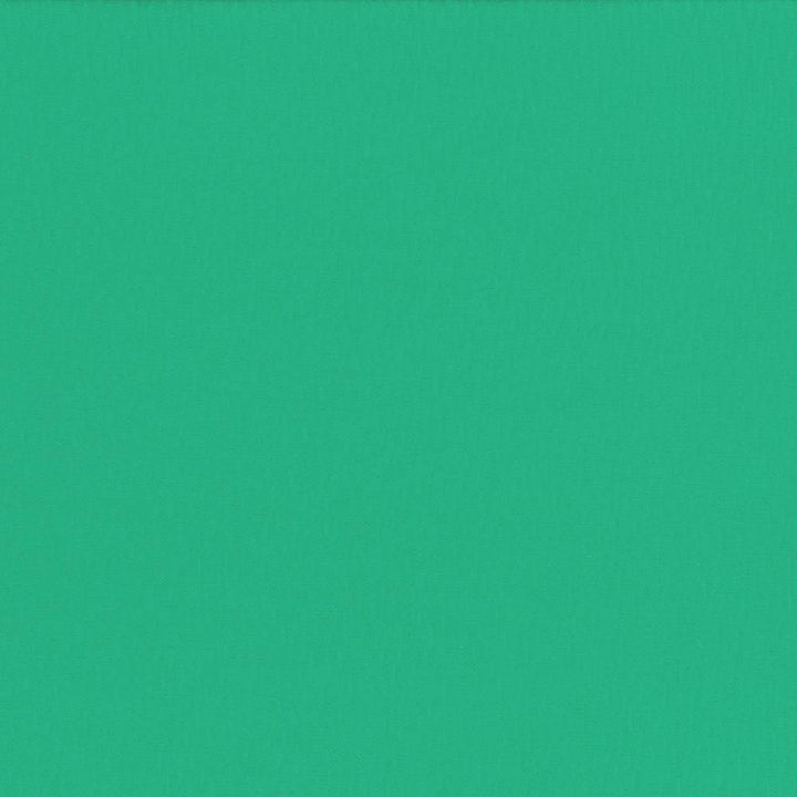 Saint Honore Emerald by Kasmir Fabric 5056 65% Polyester
35% Cotton
 TAIWAN </p><p>Repeat: Horizontal: N/A and Vertical: N/A 54 - 56 - Fabric Carolina -
