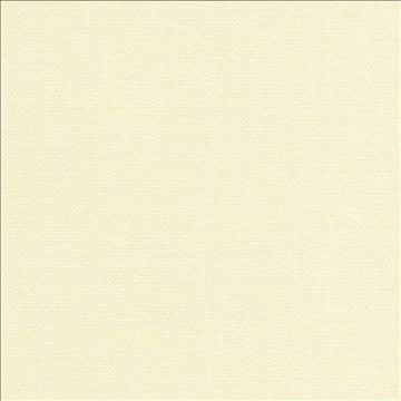San Carlos Alabaster by Kasmir Fabric 5050 100% Polyester INDIA 25,000 Wyzenbeek Double Rubs H: N/A, V: N/A 54 - 55 - Fabric Carolina - Kasmir