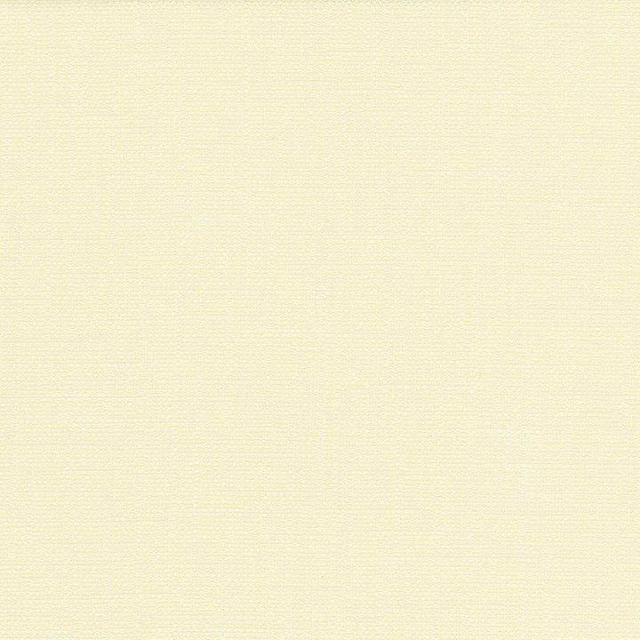 San Carlos Alabaster by Kasmir Fabric 5050 INDIA 25,000 Wyzenbeek Double Rubs H: N/A, V:N/A 54 - 55 - Fabric Carolina - Kasmir