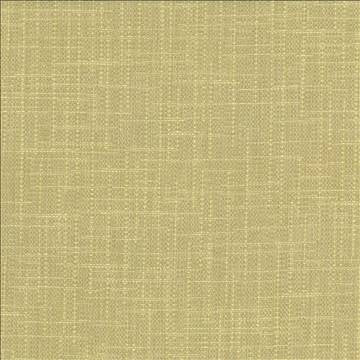 San Carlos Aloe by Kasmir Fabric 5050 100% Polyester INDIA 25,000 Wyzenbeek Double Rubs H: N/A, V: N/A 54 - 55 - Fabric Carolina - Kasmir