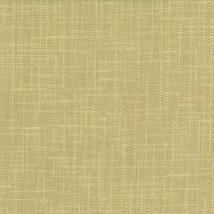 San Carlos Aloe by Kasmir Fabric 5050 INDIA 25,000 Wyzenbeek Double Rubs H: N/A, V:N/A 54 - 55 - Fabric Carolina - Kasmir