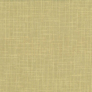 San Carlos Aloe by Kasmir Fabric