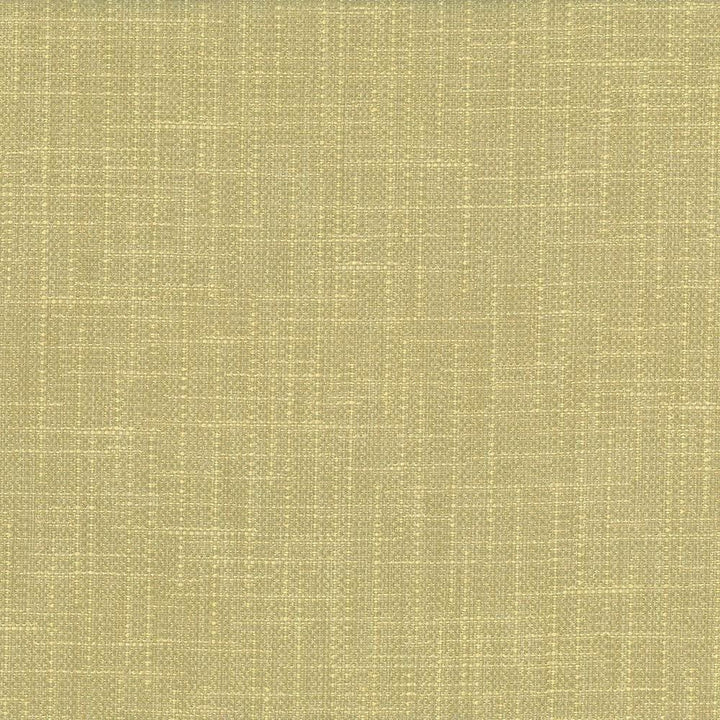 San Carlos Aloe by Kasmir Fabric 5050 100% Polyester
 INDIA </p><p>Repeat: Horizontal: N/A and Vertical: N/A 54 - 55 - Fabric Carolina -