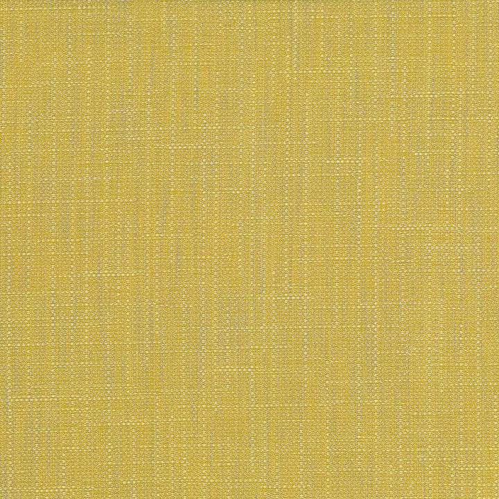 San Carlos Citrine by Kasmir Fabric 5050 100% Polyester
 INDIA 25,000 Wyzenbeek Double Rubs Horizontal: N/A and Vertical: N/A 54 - Fabric Carolina -