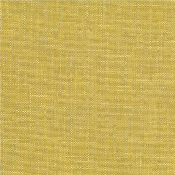 San Carlos Citrine by Kasmir Fabric 5050 100% Polyester INDIA 25,000 Wyzenbeek Double Rubs H: N/A, V: N/A 54 - 55 - Fabric Carolina - Kasmir