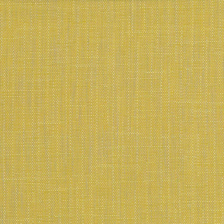San Carlos Citrine by Kasmir Fabric 5050 INDIA 25,000 Wyzenbeek Double Rubs H: N/A, V:N/A 54 - 55 - Fabric Carolina - Kasmir