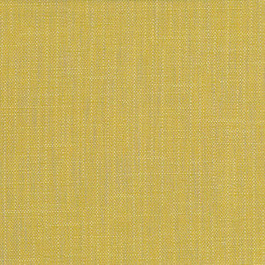 San Carlos Citrine by Kasmir Fabric