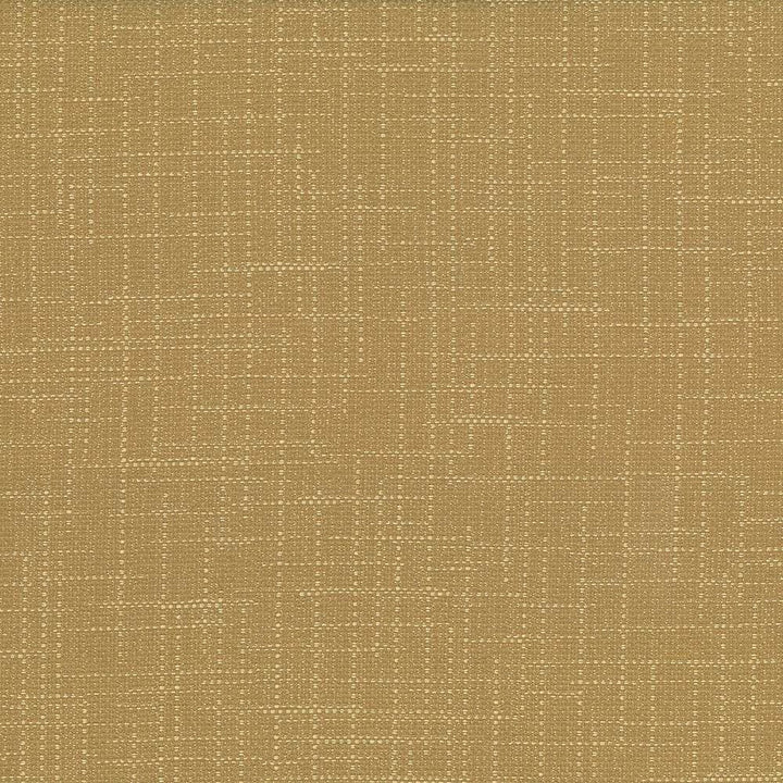 San Carlos Dune  by Kasmir Fabric See sample 100% Polyester
 INDIA 25,000 Wyzenbeek Double Rubs </p><p>Repeat: Horizontal: N/A and Vertical: N/A 54  - Fabric Carolina -