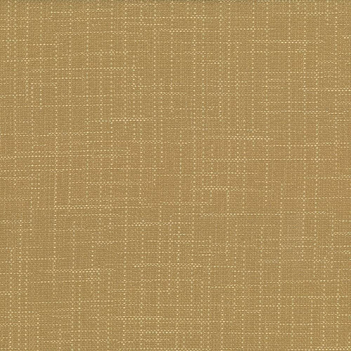 San Carlos Dune by Kasmir Fabric 5050 INDIA 25,000 Wyzenbeek Double Rubs H: N/A, V:N/A 54 - 55 - Fabric Carolina - Kasmir