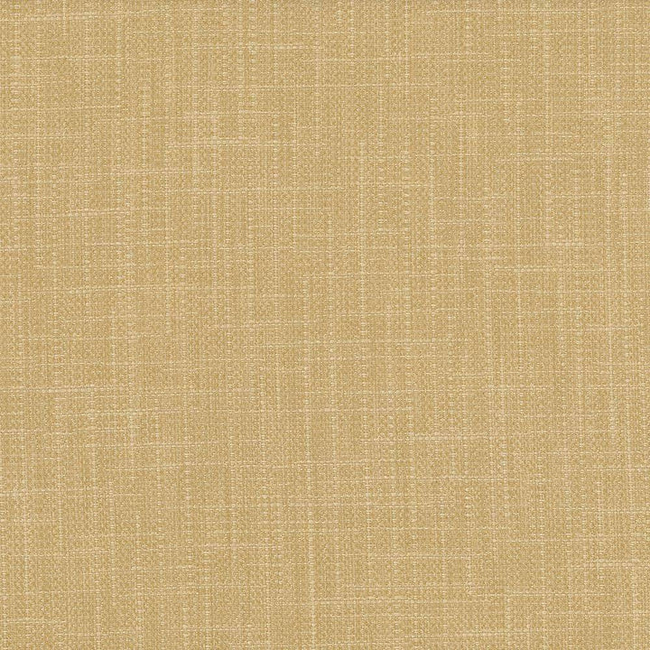 San Carlos Flax by Kasmir Fabric 5050 INDIA 25,000 Wyzenbeek Double Rubs H: N/A, V:N/A 54 - 55 - Fabric Carolina - Kasmir
