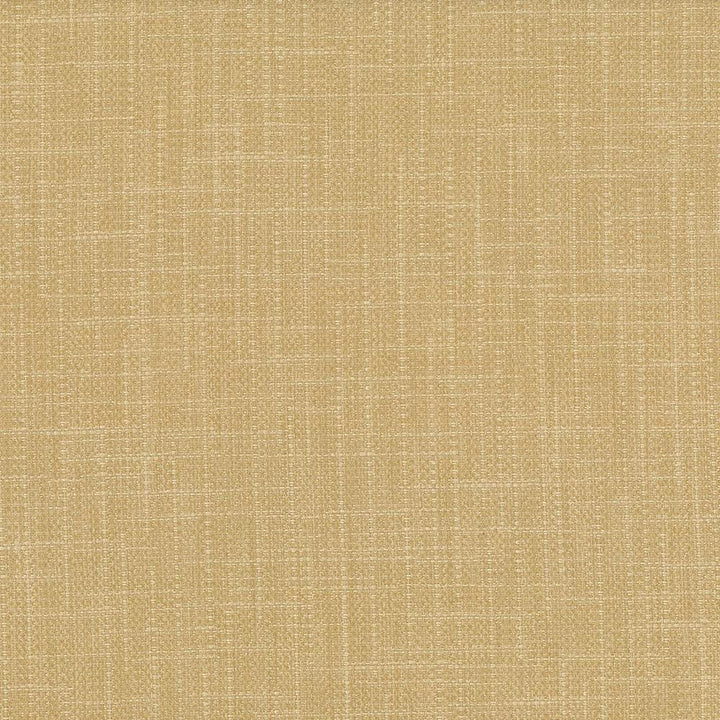 San Carlos Flax  by Kasmir Fabric See sample 100% Polyester
 INDIA 25,000 Wyzenbeek Double Rubs </p><p>Repeat: Horizontal: N/A and Vertical: N/A 54  - Fabric Carolina -